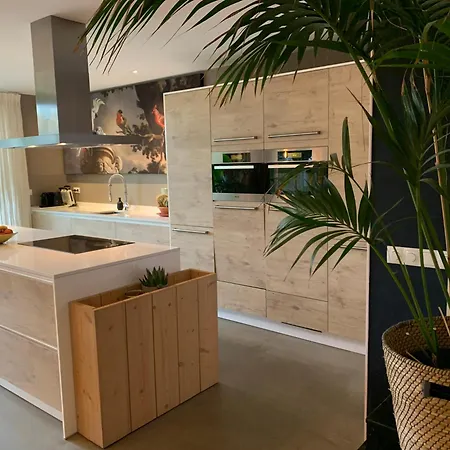 Rustige Luxe Vrijstaande In Weelderig Groene Tuin