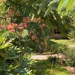 Villa Rustige Luxe Vrijstaande In Weelderig Groene Tuin *